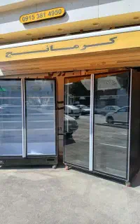 فریزر ایلیا ۲درب