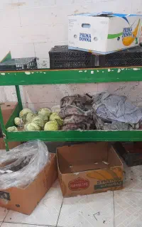 وسایل میوه و تره بار فروشی