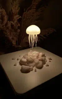چراغ خواب عروس دریایی معلق