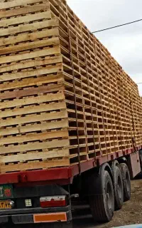 استادکار خبره  اره فلکه ۱۰۰ در کارگاه پالت سازی