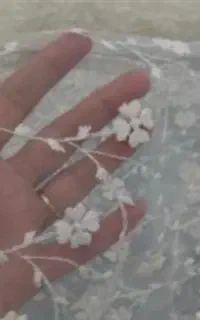 پرده گیپور