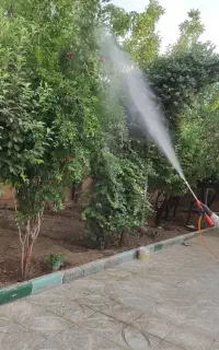 کارهای باغبانی گلکاری هرسکاری سمپاشی صفر تا صد