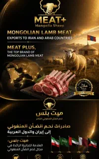 به یک نفر نیروی قصاب ماهر