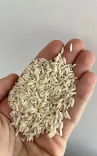 برنج هاشمی  درجه یک