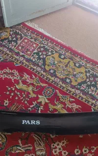 سنگ پران لبه کاپوت  ماشین (پاس)