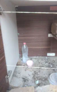 قفس کبوتر و پرنده