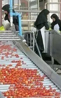پذیرش نیرو جوان