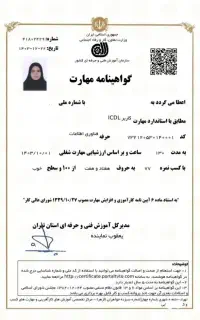 مدرک فنی حرفه ای / دیپلم کارشناسی لیسانس/سرتیفیکیت