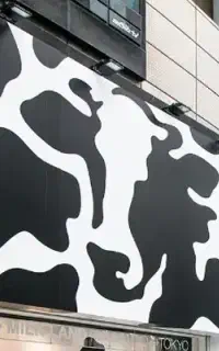 استخدام نیرو خانوم در لبنیاتی