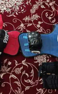 دو ست کامل ووشو