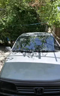 پژو ۴۰۵ مدل ۸۳