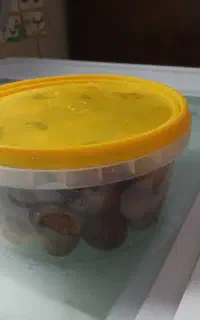 فروش ظرف رطبی