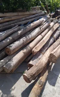 همه مدل چـوب ودرخـت‌شمارا بـه بالاترین قــ