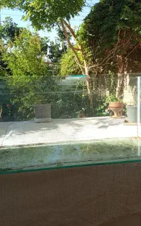 آکواریوم