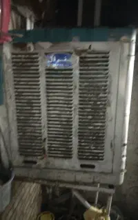 کولرابی ۳۵۰۰سالم