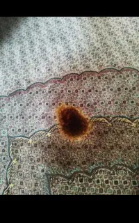 تعمیروترمیم فرش سوختگی زغال سیگار در محل شما