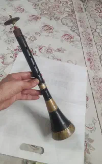 سرنا
