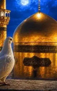 کاروان زیارتی مشهد مقدس