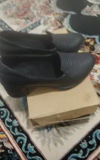 کفش مجلسی
