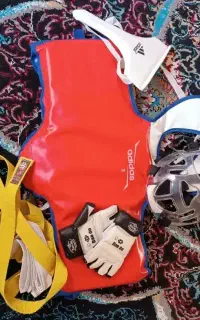 هوگو و دستکش لباس تکواندو