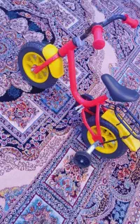 دوچرخه
