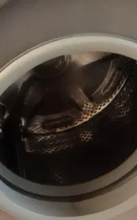 به یک همکارخانم  در خشک شوی نیازمندیم