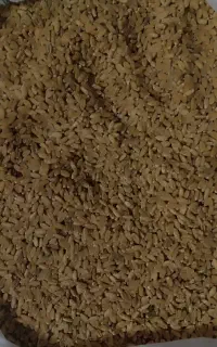بلغور گندم مخصوص ترخینه