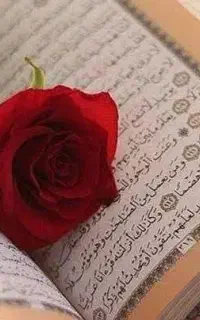 انجام استخاره با قرآن کریم