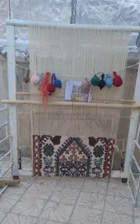 دار قالی