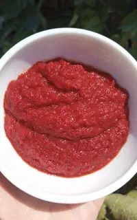 رب گوجه فروشی
