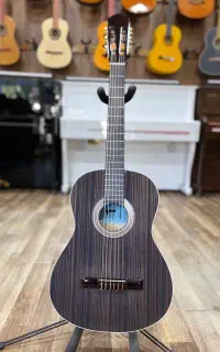 گیتار اکو مدل صفحه روغنی در رویال موزیک