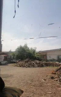 منشی یا کارگر آقا و خانم جهت کار در ایستگاه چوب
