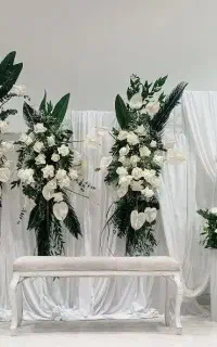 تشریفات مجالس، عروسی، تولد