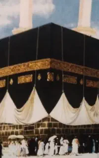 2عدد فیش حج واجب