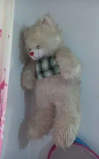 خرس بزرگ