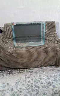 آکواریوم ماهی گیاه خار
