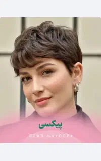 مدل کوتاهی