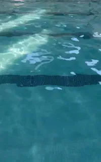شنا ویژه بانوان