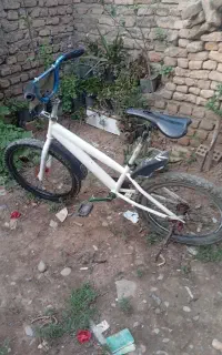 دوچرخه 20