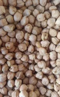 کالابرگ