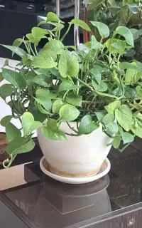 به یک خانوم برای امورمنزل نیازمندیم
