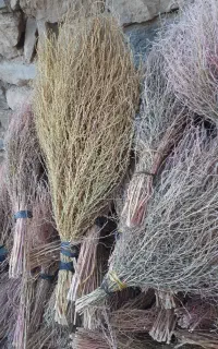 50دسته جارو محلی