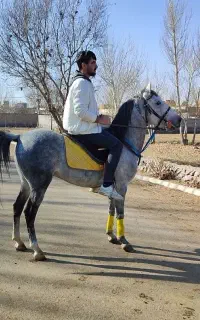 نریان کرد