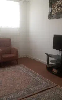 پرستار برای خانم سالمند