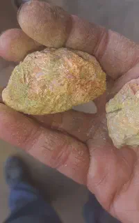 آموزش تست و راه اندازی استخراج طلا و فلزات گرانبها
