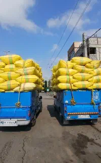 خرید و ارسال کاه گندم تمیز