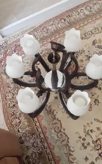 لوستر