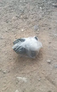 پنیر