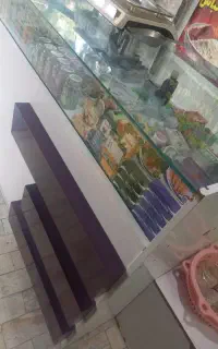 قفسه و میز ویترین و قفسه ادویه