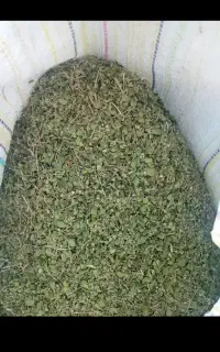 خرید و فروش آویشن ،روغن پاک ،چای ترش